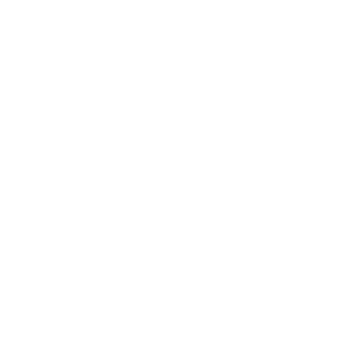 SOLO